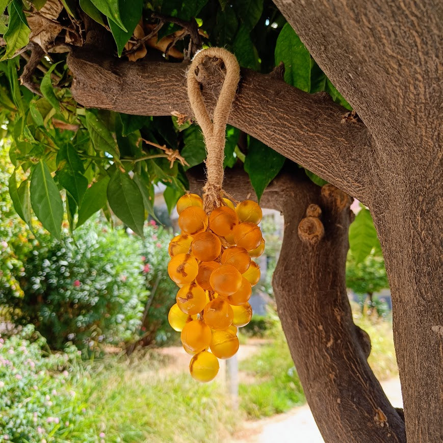 Yellow grapes hanging from a tree branch with a natural background