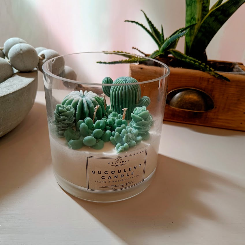 Κερί σόγιας σε γυαλινο δοχείο, κακτάκια Succulent Candle