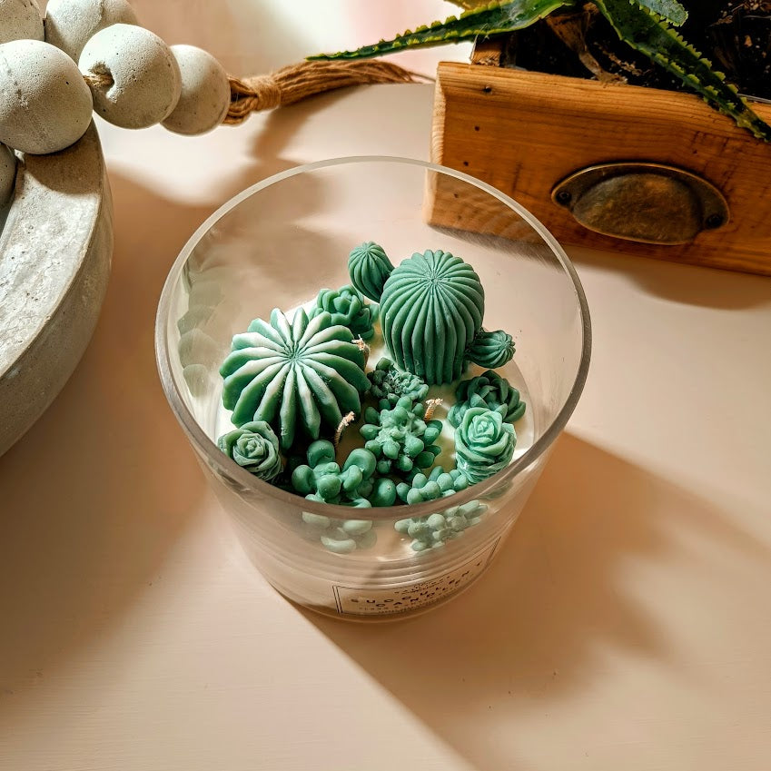 Κερί σόγιας σε γυαλινο δοχείο, κακτάκια Succulent Candle