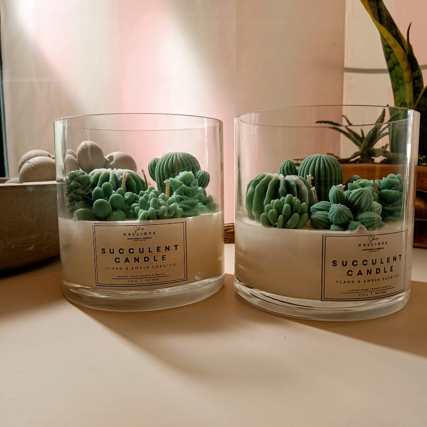 Κερί σόγιας σε γυαλινο δοχείο, κακτάκια Succulent Candle