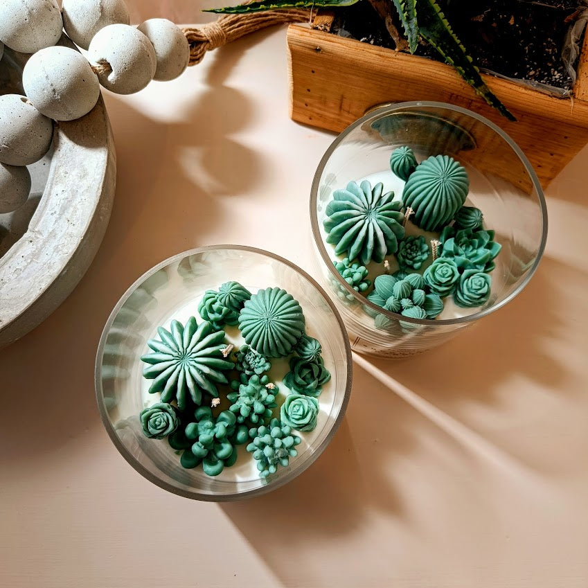Κερί σόγιας σε γυαλινο δοχείο, κακτάκια Succulent Candle