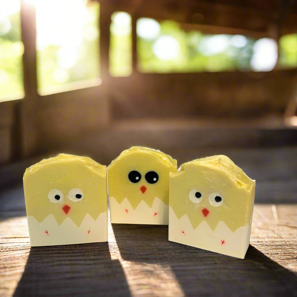 Σαπούνι κοτοπουλάκι Chick soap