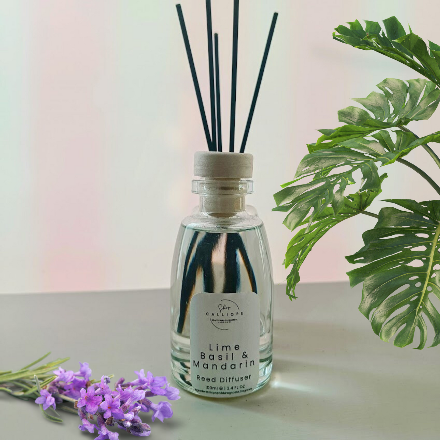 Αρωματικό χώρου Reed Diffuser 100ml