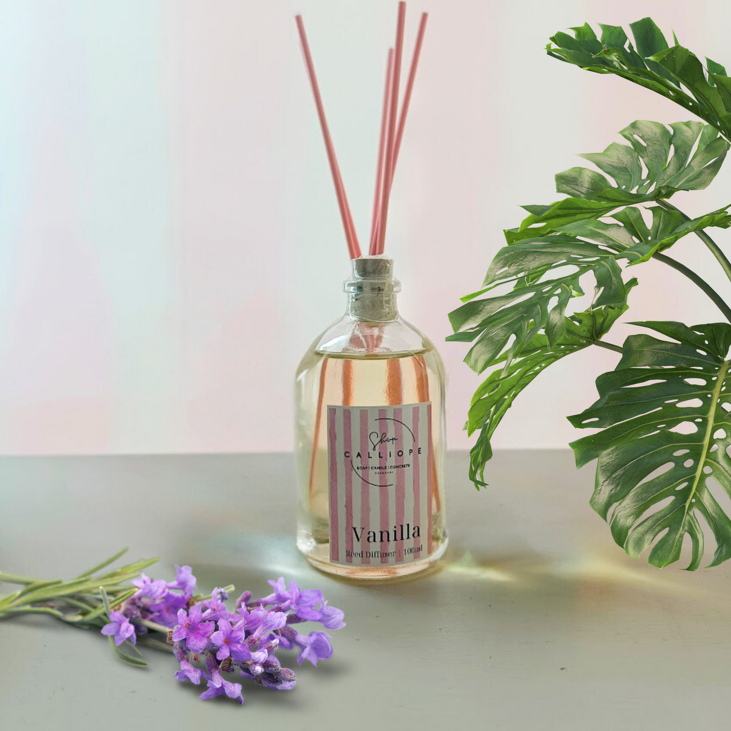 Αρωματικό χώρου Reed Diffuser 100ml