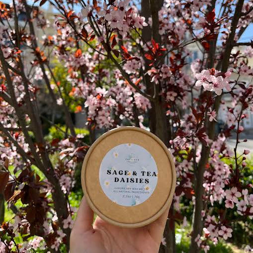 Wax melts μαργαρίτες daisies
