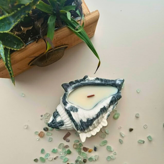 Χειροποίητο Κοχύλι από τσιμέντο με κερί σόγιας