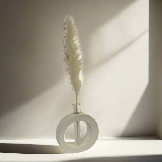 A handcrafted decorative vase made of cement in an OVAL shape with an integrated glass tube, displayed with a plant inside it.