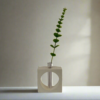 A handcrafted decorative vase made of cement in an OVAL shape with an integrated glass tube, displayed with a plant inside it.