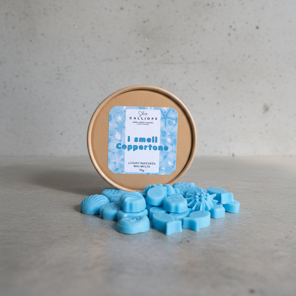 μπλε ψαράκια και κοχύλια wax melts με καλοκαιρινό άρωμα coppertone 