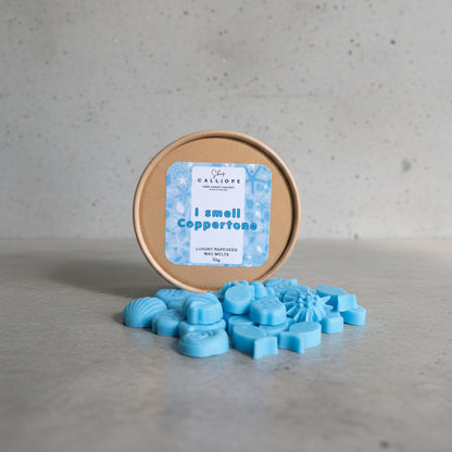 μπλε ψαράκια και κοχύλια wax melts με καλοκαιρινό άρωμα coppertone 