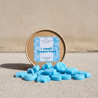 Μπλε ψαράκια και κοχύλια wax melts πάνω σε πέτρινη επιφάνεια μπροστά από κραφτ στρογγυλό κουτί με ετικέτα i smell coppertone CalliopeShop