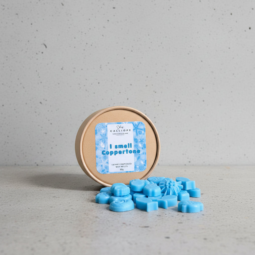 i smell coppertone wax melts ψαράκια και κοχύλια σε γαλάζιο χρώμα με οικολογική κραφτ συσκευασία πάνω σε πέτρινη επιφάνεια