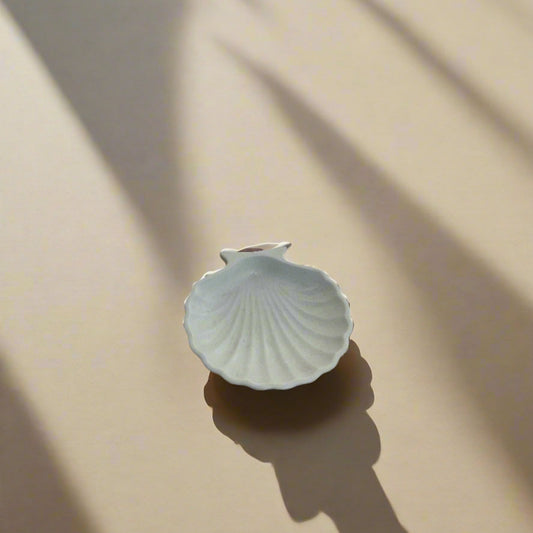 A decorative shell with a pale blue tint, placed on a surface casting a shadow, possibly suggesting a nautical theme.