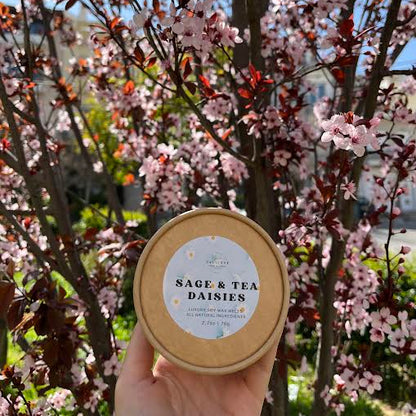 Wax melts μαργαρίτες daisies