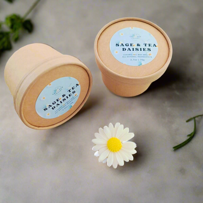Wax melts μαργαρίτες daisies