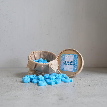 wax melts σε μπλε χρώμα με σχήμα ψαράκια και κοχύλια με άρωμα κοπερτον 