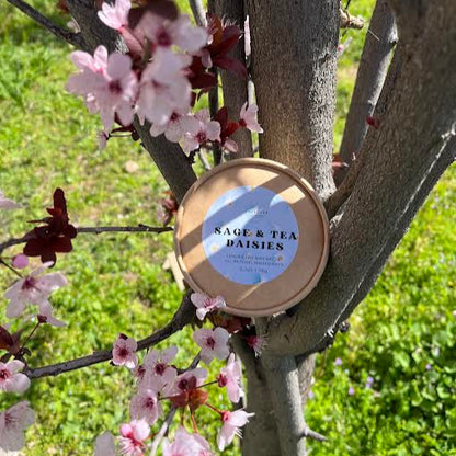 Wax melts μαργαρίτες daisies