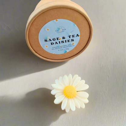Wax melts μαργαρίτες daisies