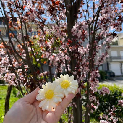 Wax melts μαργαρίτες daisies